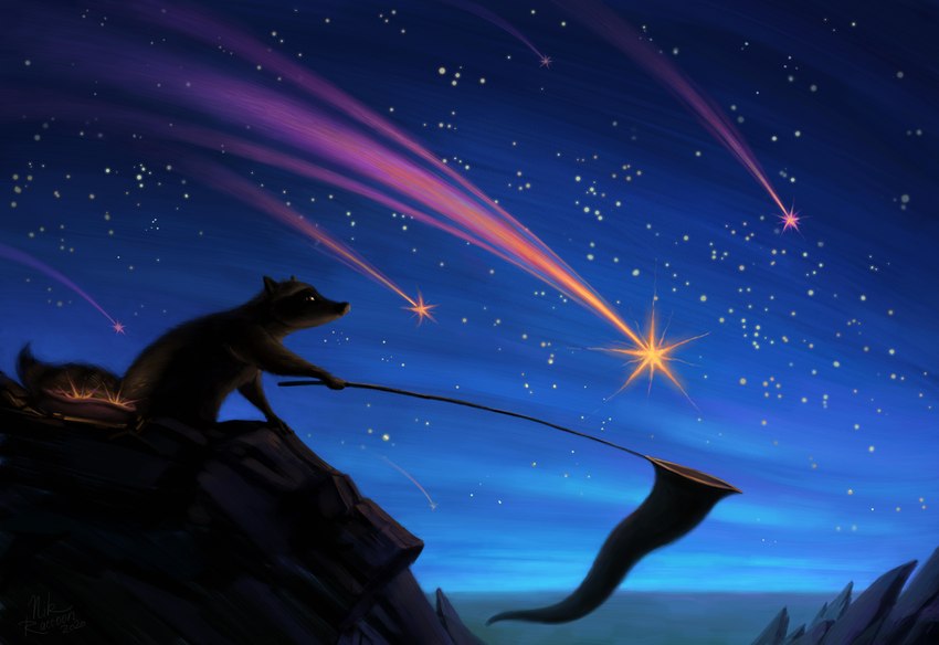 ambiguous_gender bug_net detailed_background feral fur holding_object night outside shooting_star sky solo star starry_sky nikraccoom mammal procyonid raccoon 2020 absurd_res hi_res