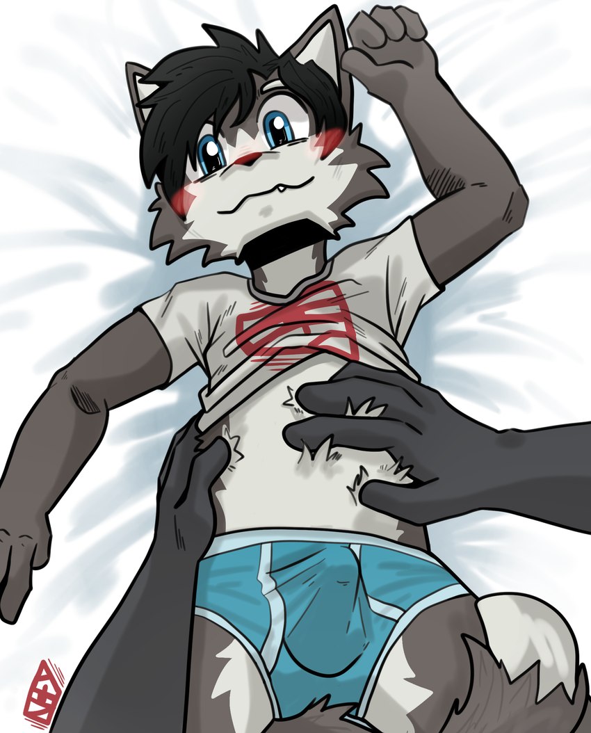 adult_on_young age_difference ambiguous_gender ambiguous_pov anthro bed belly_rub biped black_hair blue_eyes blush bulge clothed clothing cute_fangs detailed_bulge duo erection erection_under_clothing fangs first_person_view fur furniture grey_body hair looking_at_viewer lying male male/ambiguous male_anthro male_focus on_back on_bed simple_background smile solo_focus tail teeth underwear young young_anthro young_male noofywoof canid canine mammal absurd_res digital_media_(artwork) hi_res