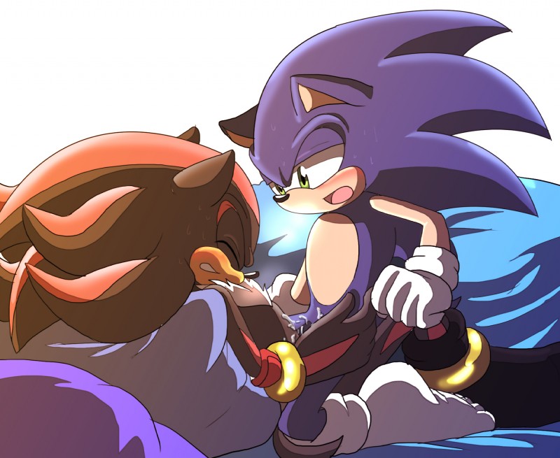 shadow the hedgehog and sonic the hedgehog (sonic the hedgehog (series) and etc) created by angelofhapiness