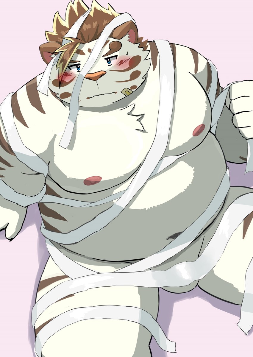 anthro balls band-aid bandage belly big_belly blush genitals holidays kemono male moobs mummy_costume mummy_wrappings navel nipples overweight overweight_male simple_background sitting solo white_body 9dtq0 halloween lifewonders tokyo_afterschool_summoners licho_(tas) felid mammal pantherine tiger 2023 absurd_res hi_res