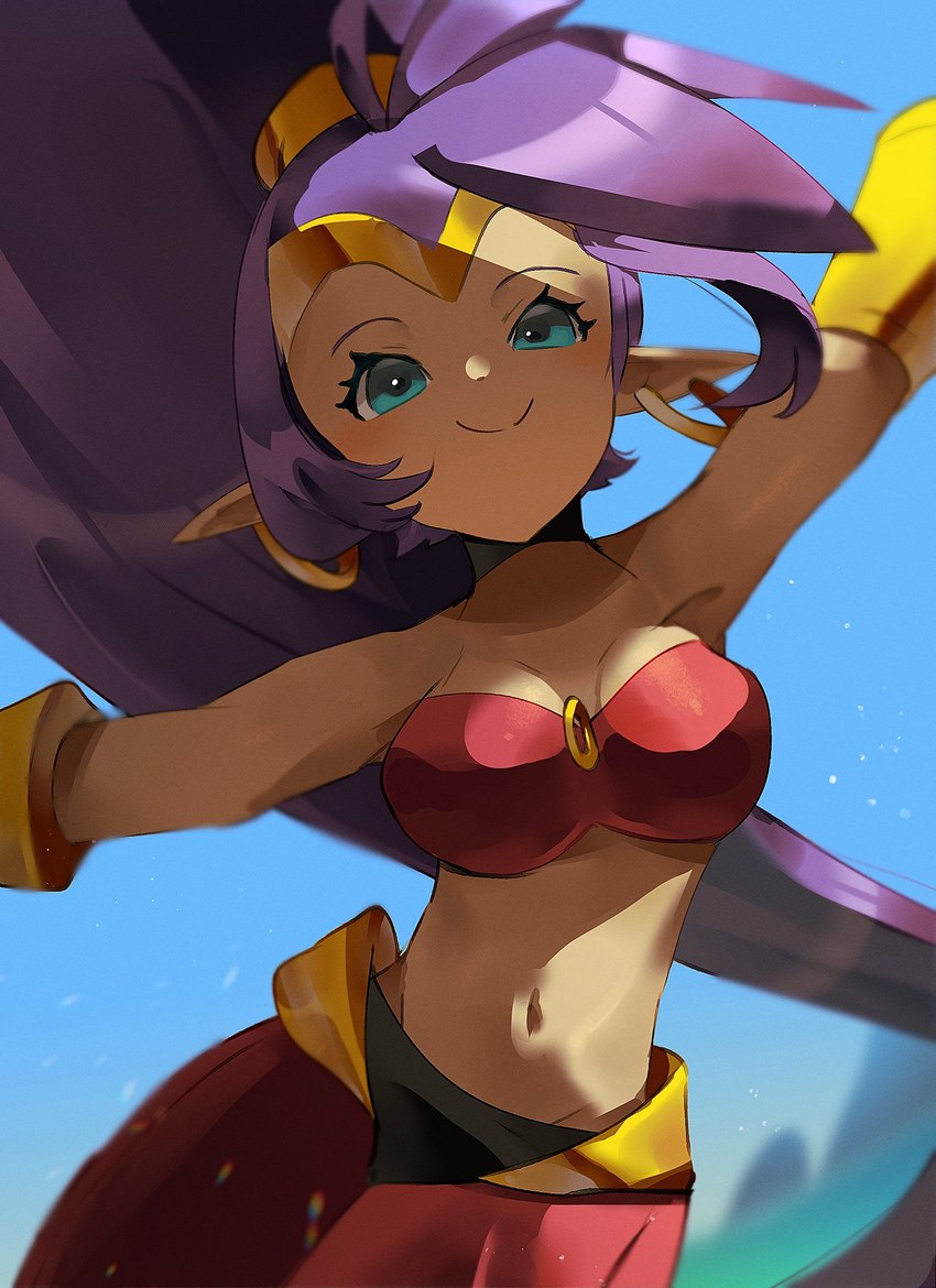 blue_eyes breasts clothing ear_piercing female hair humanoid_pointy_ears looking_at_viewer navel not_furry piercing pointy_ears ponytail purple_hair simple_background smile solo tan_body tan_skin pachirisus shantae_(series) wayforward shantae genie humanoid hi_res