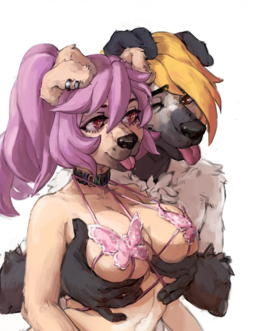 anthro big_breasts black_body black_fur black_nose blonde_hair breast_grab breasts brown_body brown_eyes brown_fur chest_tuft choker cleavage clothed clothing duo ear_piercing ear_ring eyelashes facial_markings female floppy_ears fur grey_body grey_fur hair hand_on_breast head_markings jewelry lingerie long_hair looking_at_another male male/female markings multicolored_body multicolored_fur muzzle_(marking) necklace one_eye_closed piercing pink_hair ponytail ring_piercing short_hair simple_background snout snout_markings text_on_choker tongue tongue_out tuft two_tone_body two_tone_fur white_background wink didihell jul_(forestpuppy) arthropod bird_dog butterfly canid canine canis domestic_dog hunting_dog hybrid insect lepidopteran mammal retriever hi_res