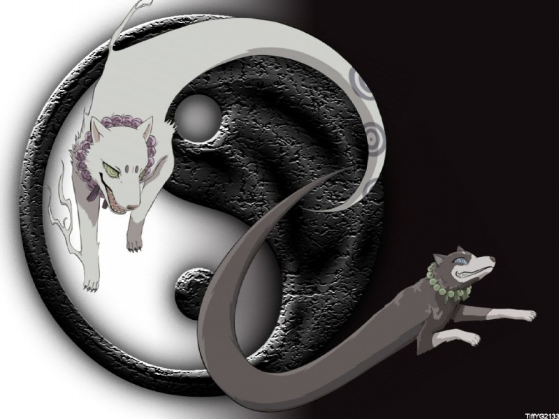 claws duo fur grey_body grey_fur male white_body white_fur yin_yang yin_yang_symbolism unknown_artist kekkaishi hakubi madarao_(kekkaishi) ayakashi canid canine canis domestic_dog mammal spirit wolf 4:3