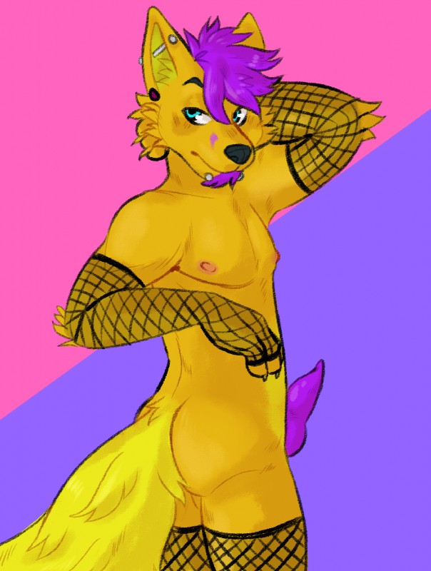 anthro clothed clothing erection facial_hair fishnet_clothing fur genitals goatee hair looking_back male naughty_face partially_clothed penis piercing short_hair toony yellow_body yellow_fur gumiboie varu canid canine canis dingo fox hybrid mammal 2019 digital_media_(artwork) hi_res