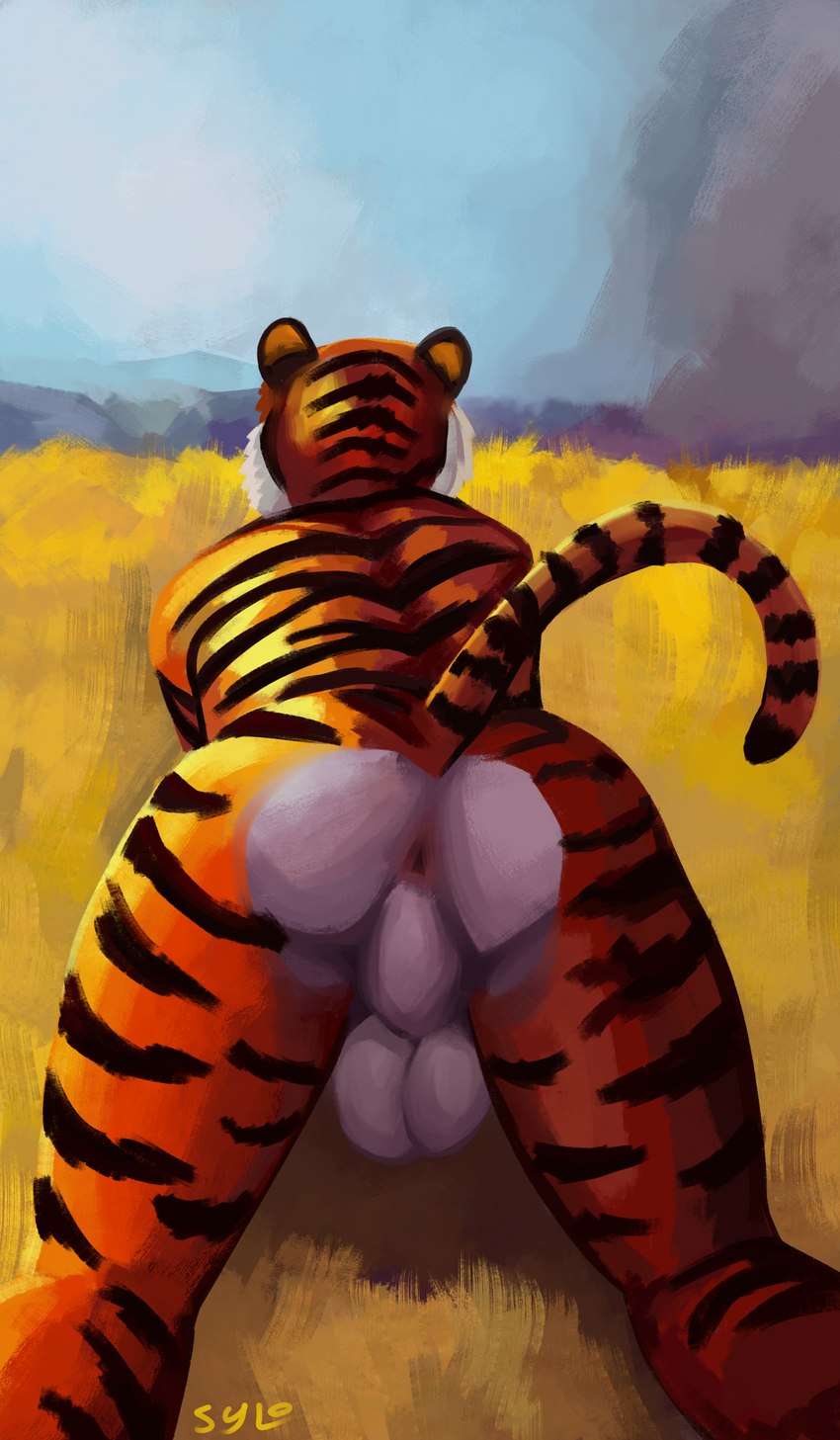 anthro anus balls butt fur genitals male nude orange_body orange_fur outside presenting presenting_anus presenting_balls presenting_hindquarters rear_view sky solo stripes tail white_body white_fur sylo felid mammal pantherine tiger 2023 absurd_res digital_media_(artwork) hi_res