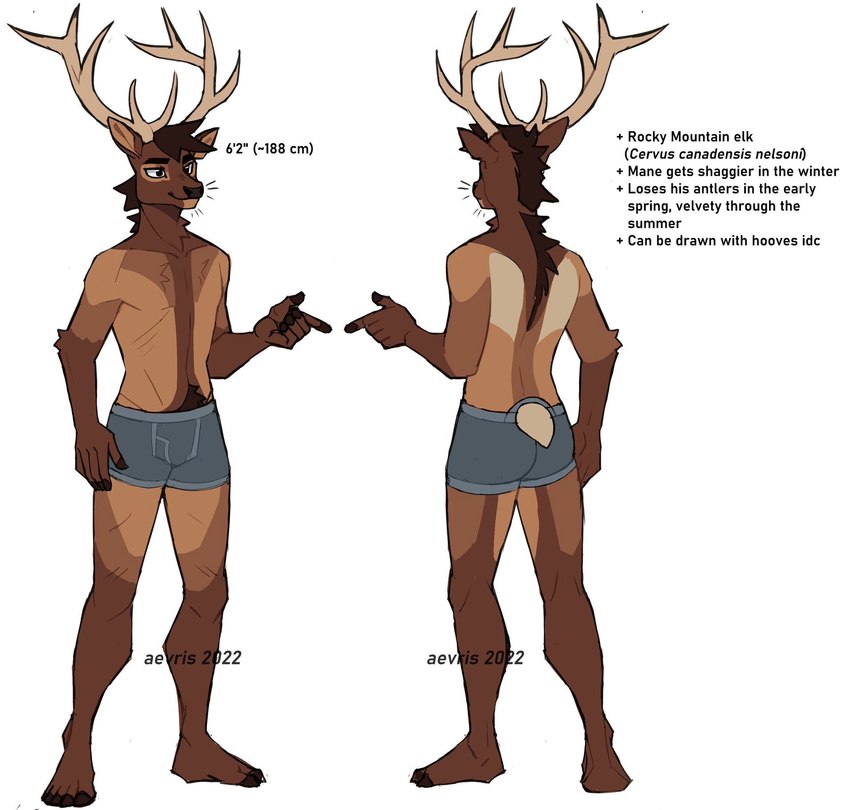 5_fingers anthro antlers biped brown_body brown_fur clothed clothing fingers fur horn male solo tail text topless topless_anthro topless_male underwear underwear_only aevris ryker_(aevris) cervine deer elk mammal english_text hi_res model_sheet