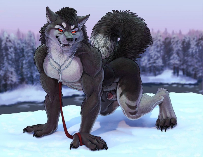 4_toes 5_fingers all_fours animal_genitalia animal_penis anthro bedroom_eyes biped black_nose canine_genitalia canine_penis chain chain_collar claws collar collar_only detailed_fur digitigrade dipstick_tail eyebrows fangs feet fingers fur genitals grey_body grey_fur hair half-closed_eyes leash looking_at_viewer male markings multicolored_tail muscular muscular_anthro muscular_male narrowed_eyes nude orange_eyes outdoor_nudity outside penis penis_tip plant raised_tail red_eyes seductive sheath smile snow solo tail tail_markings teeth toe_claws toes tree richard_foley virtyalfobo zane_(gasaraki2007) alaskan_malamute canid canine canis domestic_dog mammal nordic_sled_dog spitz 2019 artist_collaboration detailed