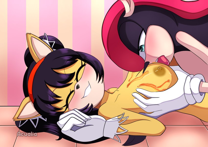 anthro big_breasts black_hair blush breast_lick breast_play breasts clothing duo female food fur gloves hair handwear honey_(food) huge_breasts licking male male/female nipples nude on_the_floor smile tongue tongue_out yellow_body yellow_fur acualia sega sonic_the_fighters sonic_the_hedgehog_(series) honey_the_cat mighty_the_armadillo armadillo domestic_cat felid feline felis mammal xenarthran hi_res