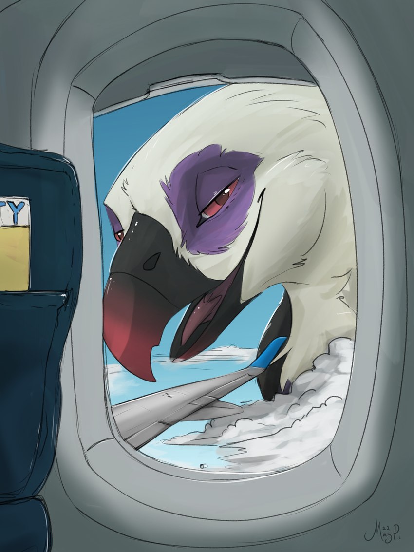 aircraft airplane feathers giga inside_airplane looking_at_viewer looking_out_window macro macro_feral male open_mouth red_eyes solo tongue vehicle white_body white_feathers magpi sanya_(banterghost) accipitrid accipitriform avian bird eagle 2023 3:4 hi_res