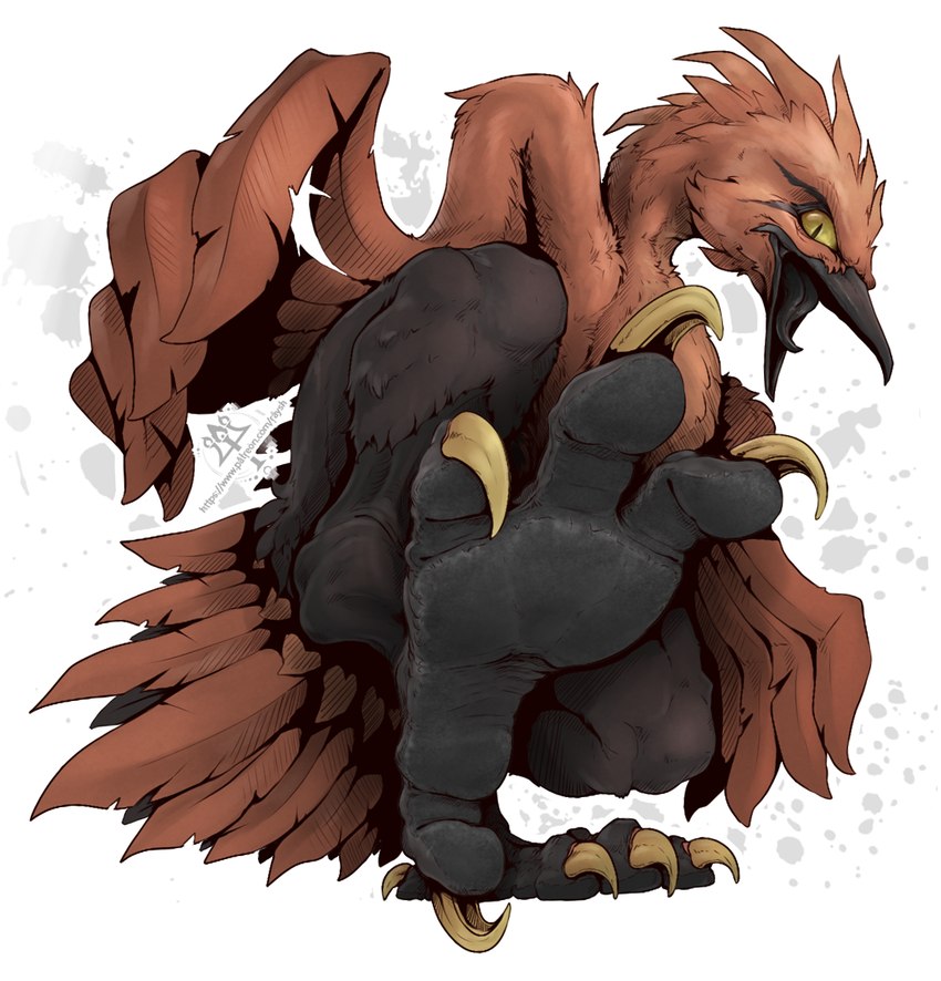 anthro claws feet foot_fetish foot_focus paws pose rough_soles soles solo stomping stomping_viewer talons teasing teasing_viewer teasing_with_feet toes kredri nintendo pokemon avian bird pokemon_(species)