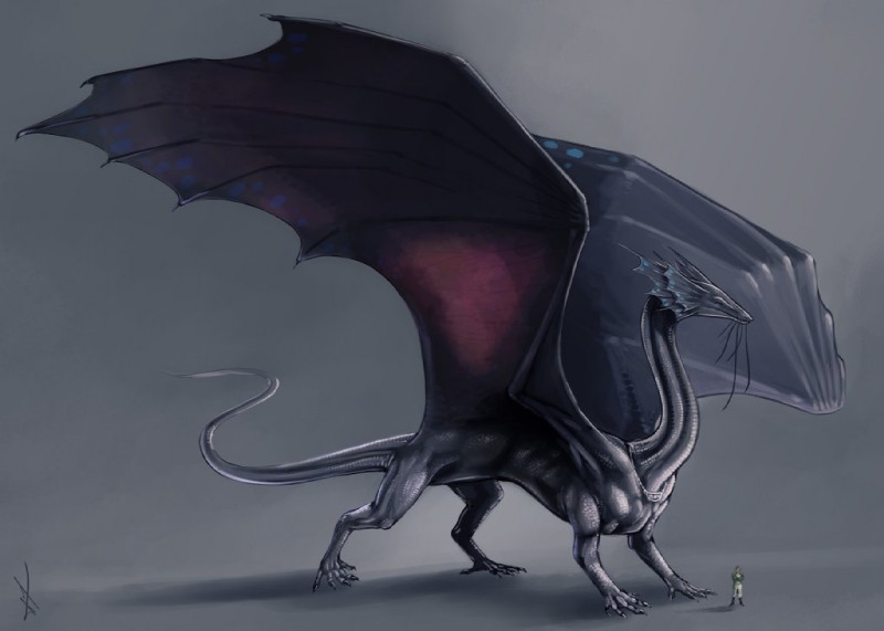 claws clothed clothing duo feral membrane_(anatomy) membranous_wings simple_background tail wings laurelhach23 mythology temeraire_(series) temeraire dragon human mammal mythological_creature mythological_scalie scalie 2015 digital_media_(artwork)