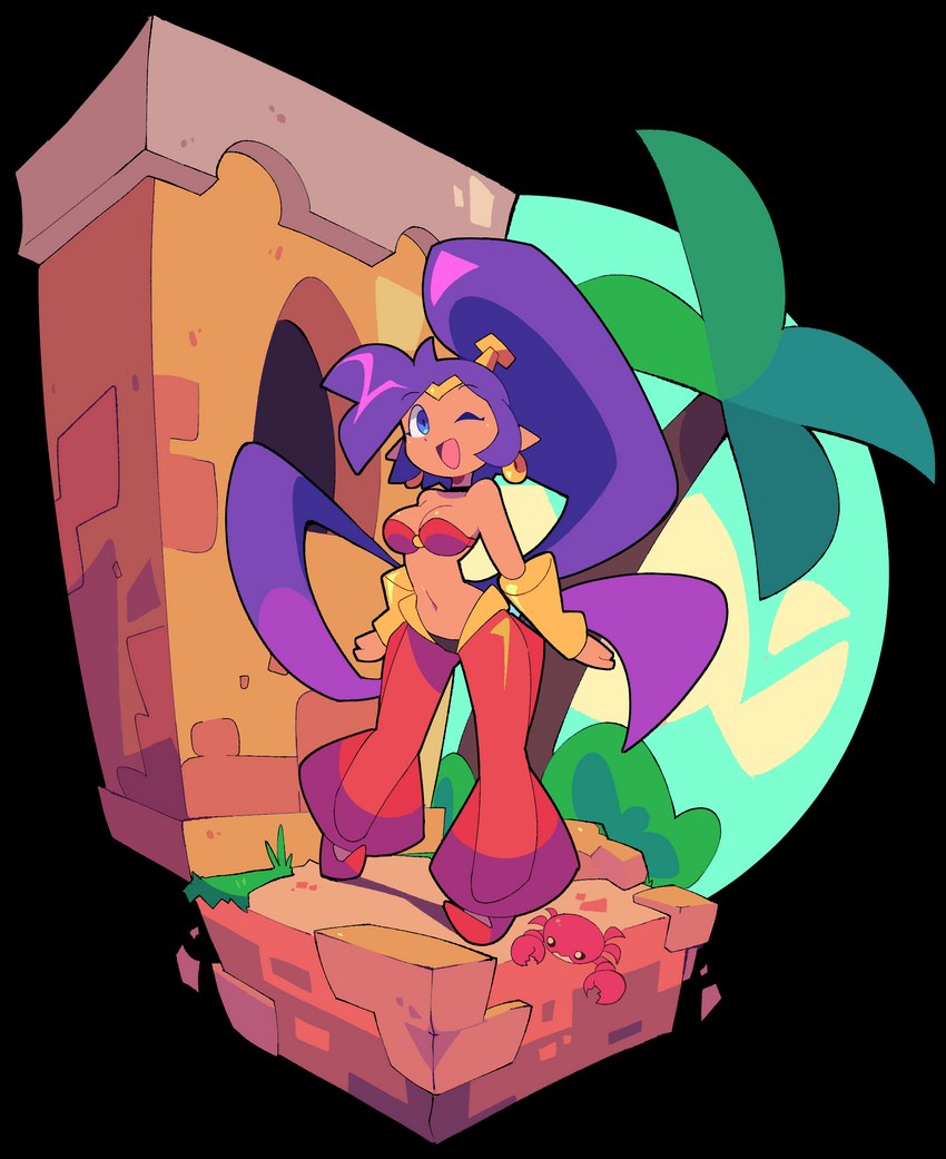 blue_eyes breasts clothing crown female hair headgear humanoid_pointy_ears long_hair navel one_eye_closed open_mouth open_smile palm_tree plant pointy_ears ponytail purple_hair shrub smile tiara tree wink bacun shantae_(series) wayforward shantae ambient_arthropod ambient_crab ambient_crustacean ambient_sealife genie humanoid 2022 absurd_res alpha_channel hi_res