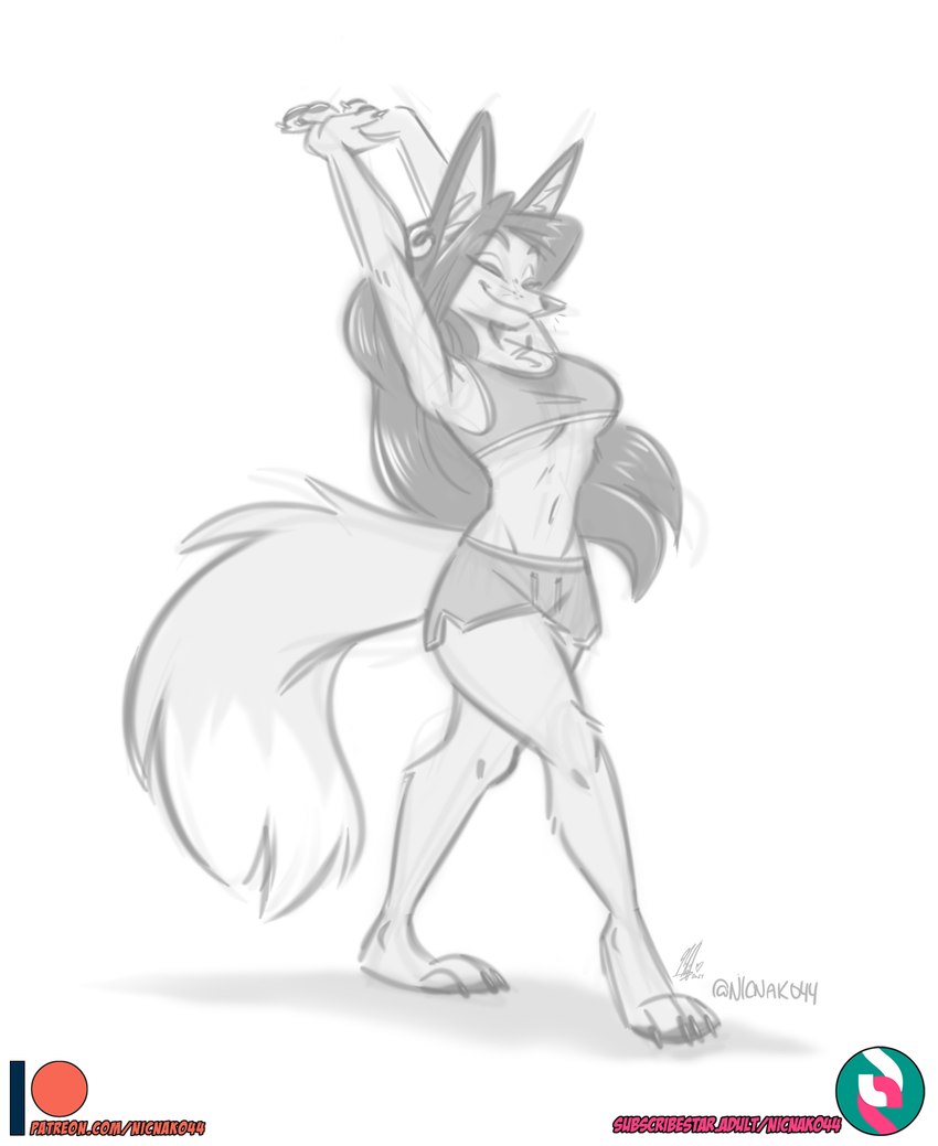 anthro bodily_fluids ear_piercing ear_ring exercise feet female hair long_hair paws piercing ring_piercing solo stretching sweat workout nicnak044 canid canine canis fennec_fox fox mammal true_fox hi_res sketch