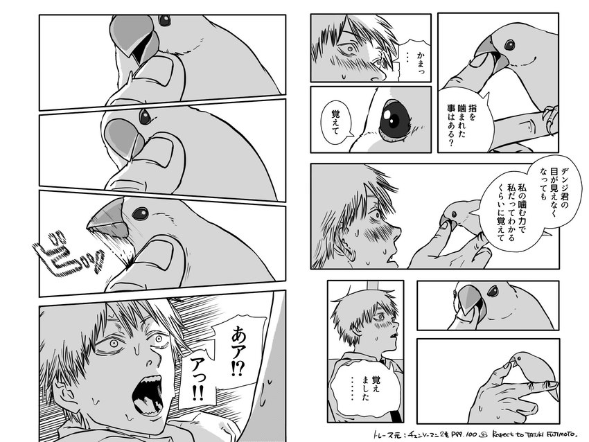 beak bite blood blush bodily_fluids duo feral humor male pain ripping ripping_sound_effect screaming tearing_skin text buncheeaz chainsaw_man denji_(chainsaw_man) avian bird human mammal zebra_finch 4:3 comic hi_res japanese_text monochrome