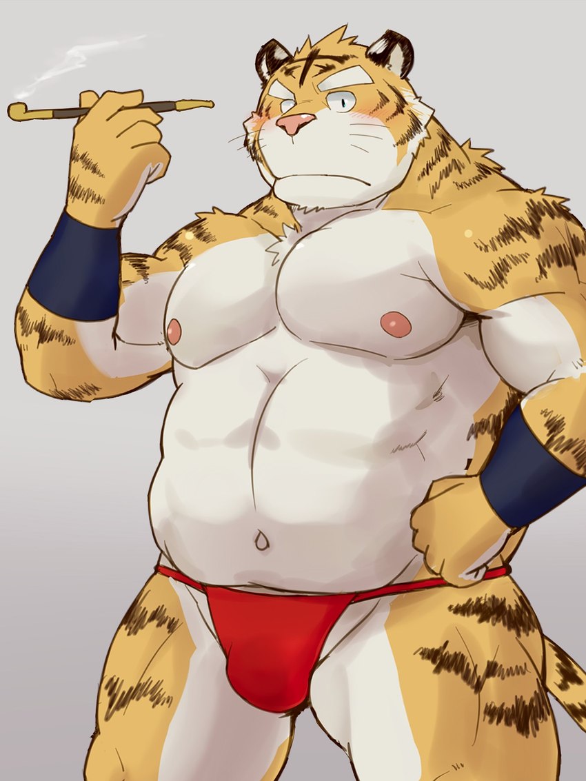 anthro asian_clothing biped blush clothing east_asian_clothing fundoshi humanoid_hands japanese_clothing kemono kiseru male musclegut muscular nipples pink_nose red_clothing red_fundoshi red_underwear smoking smoking_pipe solo underwear white_body yellow_body shiike999 felid mammal pantherine tiger 2022 3:4 hi_res