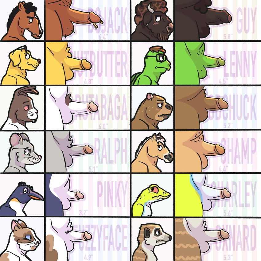 anthro average_penis balls blush blush_lines chart circumcised circumcision_scar ear_piercing ear_ring embarrassed foreskin genital_piercing genital_scar genitals glans group humanoid_genitalia humanoid_penis male nude oxnard_(bojack_horseman) penis penis_chart penis_piercing penis_size_comparison penis_size_difference piercing pink_glans realistic_penis_size ring_piercing scar side_view small_penis camocayenne bojack_horseman netflix penis_lineup bojack_horseman_(character) charley_witherspoon dr._champ guy_(bojack_horseman) lenny_turteltaub meow_meow_fuzzyface mr._peanutbutter pinky_penguin ralph_stilton rutabaga_rabitowitz woodchuck_coodchuck-berkowitz american_bison amphibian avian bird bird_dog bison bovid bovine canid canine canis domestic_cat domestic_dog emperor_penguin equid equine felid feline felis frog ground_squirrel groundhog herpestid horse hunting_dog labrador lagomorph leporid mammal marmot meerkat mouse murid murine penguin rabbit red-eyed_treefrog reptile retriever rodent scalie sciurid tree_frog turtle 1:1 hi_res