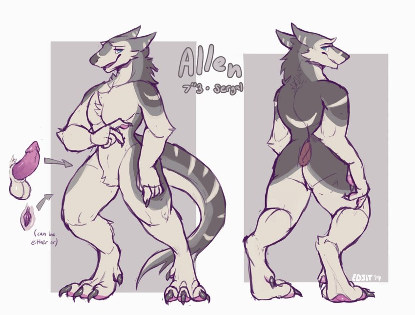 andromorph anthro blue_eyes claws featureless_crotch fur genitals grey_body grey_fur intersex maleherm nude penis pussy solo standing tail edjit allen_(mozerellafella) sergal 2019 digital_media_(artwork) model_sheet