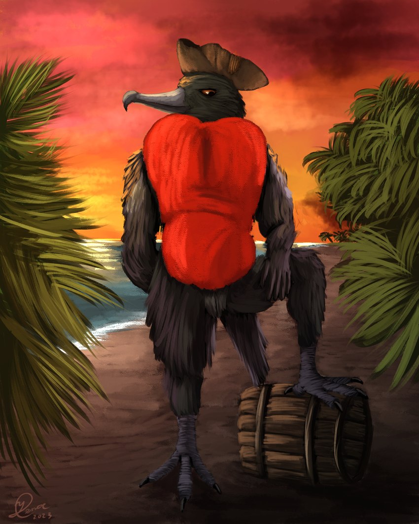 alcohol anthro barrel beach beak beverage black_body black_feathers feathers landscape male nude palm_tree pirate_hat plant rum sand seaside solo standing sunset tree water yenocwolf birdtember avian bird frigatebird magnificent_frigatebird suliform 4:5 absurd_res hi_res