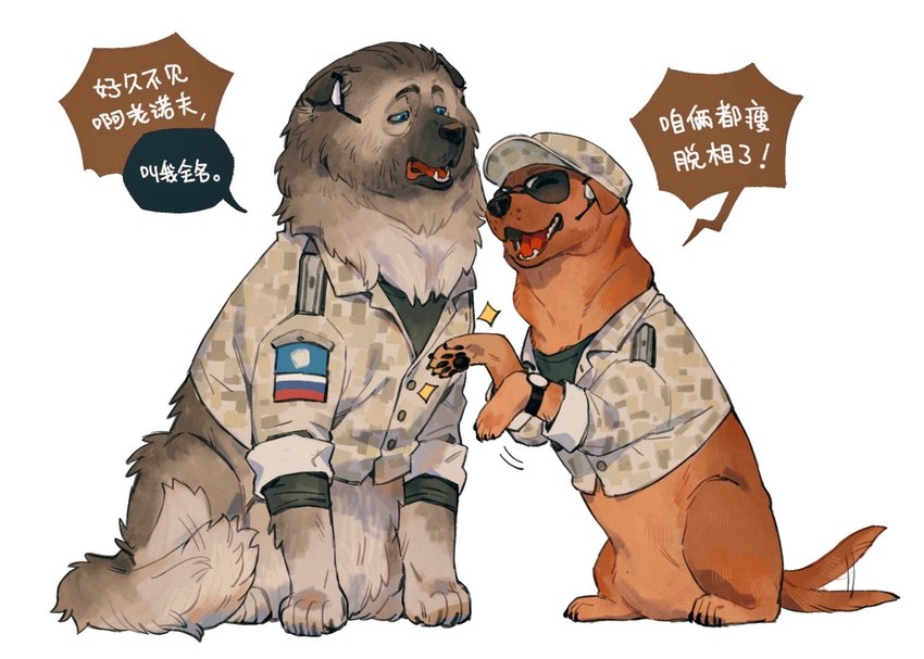 claws clothed clothed_feral clothing duo eyebrows eyewear feral floppy_ears fur hat headgear headwear male pawpads paws quadruped simple_background sunglasses tail text white_background juanmao1997 canid canine canis domestic_dog mammal chinese_text hi_res translated