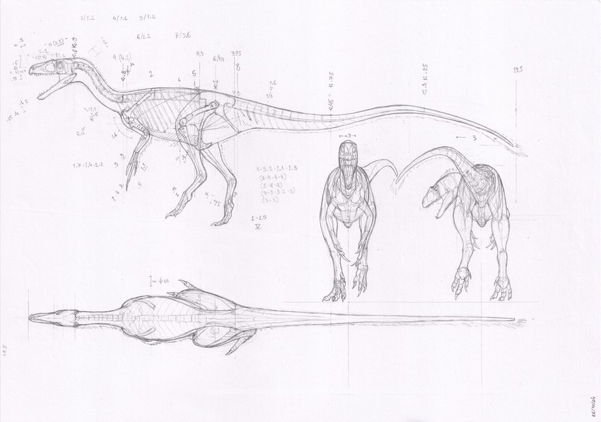 biped bone bone_frill butt claws diagram feathers feral frill_(anatomy) front_view high-angle_view looking_aside looking_at_viewer nude number open_mouth pubic_boot rear_view side_view simple_background skeleton standing study tail tail_tuft tanycolagreus teeth tuft walking white_background zw3 dinosaur feathered_dinosaur feathered_scalie prehistoric_species reptile scalie tanycolagreus_(species) theropod 2024 absurd_res full-length_portrait graphite_(artwork) hi_res model_sheet monochrome portrait traditional_media_(artwork)