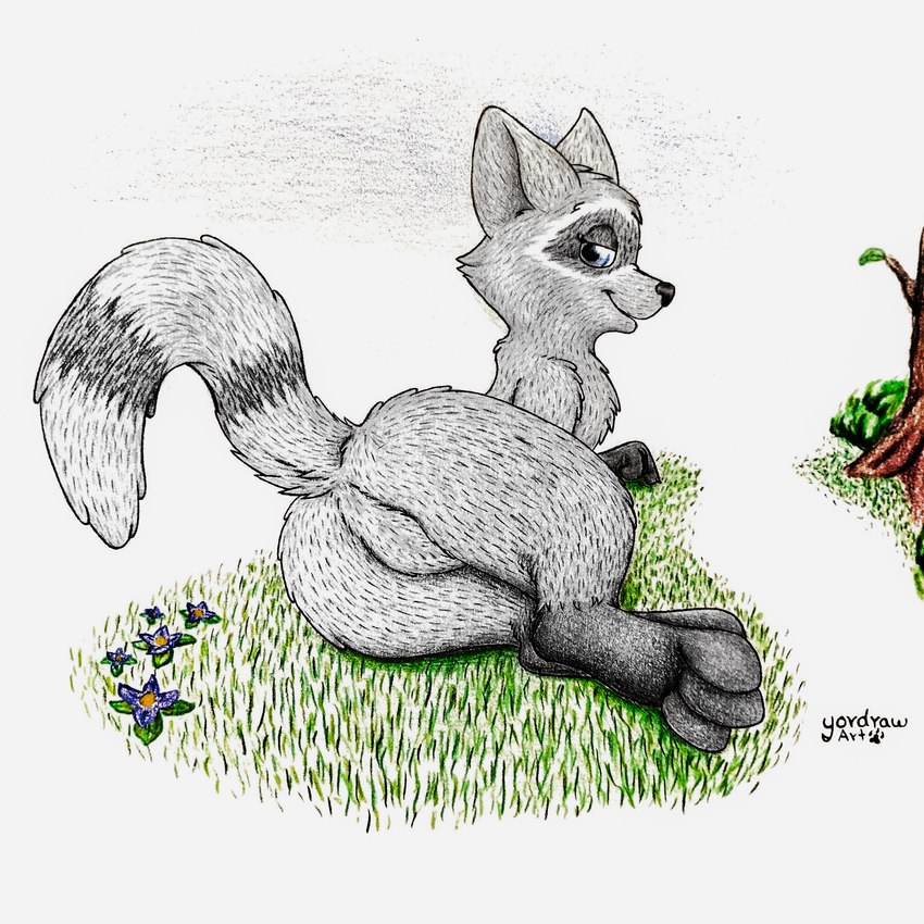 3_toes anthro bent_legs black_nose black_paws blue_eyes butt butt_focus crotch_lines feet female flower foot_fetish foot_focus fur grass grey_body grey_fur looking_at_viewer looking_back lying lying_on_ground on_ground on_side paws plant presenting presenting_hindquarters raised_tail satisfaction smile smiling_at_viewer solo tail text toes yordraw cartoon_hangover doctor_lollipop coco_(doctor_lollipop) mammal procyonid raccoon absurd_res hi_res traditional_media_(artwork)