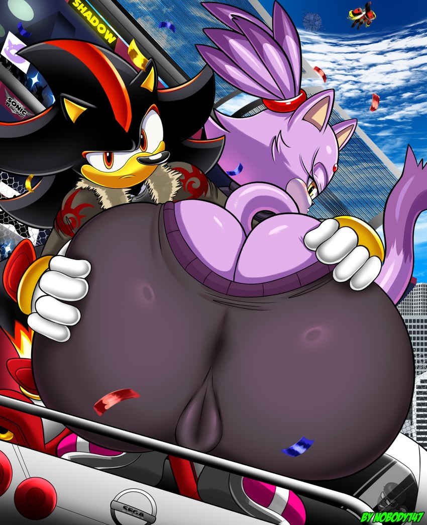 blaze the cat and shadow the hedgehog (sonic the hedgehog (series) and etc) created by nobody147