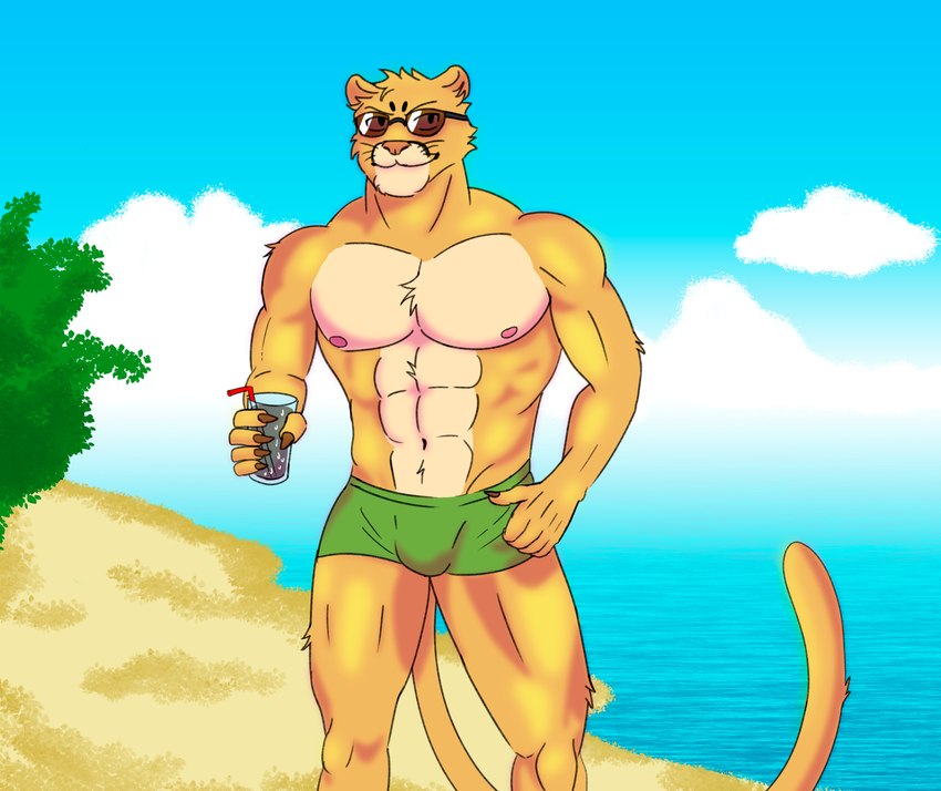 anthro beach clothing container cup drinking_glass eyewear glass glass_container glass_cup green_clothing green_underwear looking_aside male muscular pecs smile solo standing sunglasses sunny_day swimming_trunks swimwear tail underwear whiskers neruk absurd_res hi_res