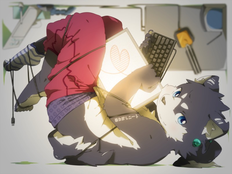 anthro biped blue_eyes bottomwear bottomwear_down clothed clothing computer_keyboard cord electronics footwear heart_symbol kemono legwear looking_at_viewer lying male monitor on_back pants pants_down partially_clothed sagging sagging_pants smile socks solo tail underwear hinami musyou_rokujou_life kanta_konjou canid canine canis domestic_dog husky mammal nordic_sled_dog spitz 4:3