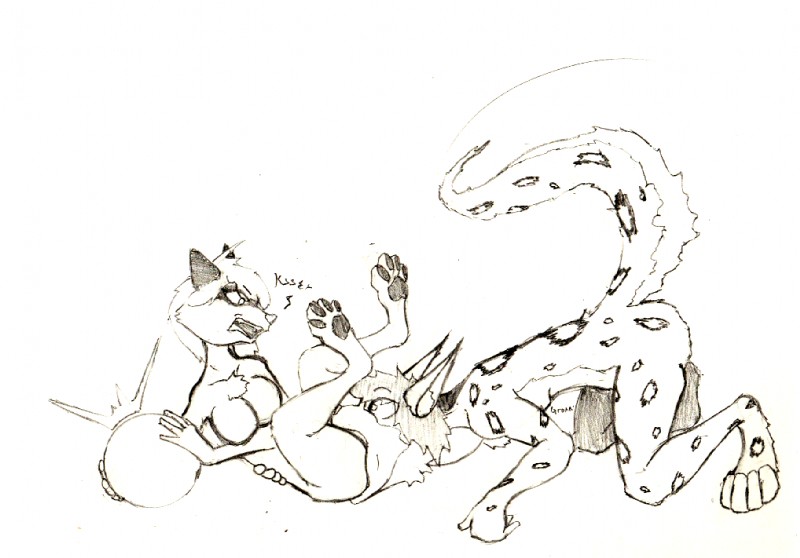 angry anthro female female_prey hissing male male_pred oral_vore same_size_vore tail_first vore chaoshetra felid feline mammal procyonid raccoon traditional_media_(artwork)