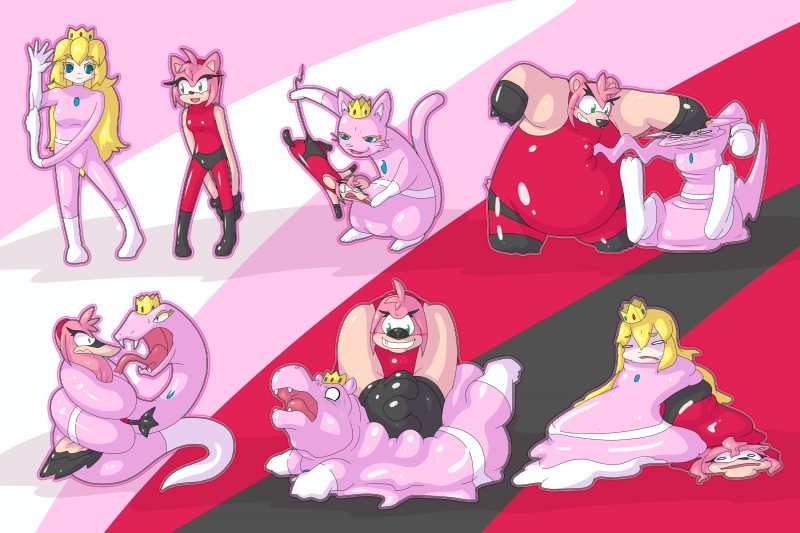 amy rose and princess peach (sonic the hedgehog (series) and etc) created by dlrowdog