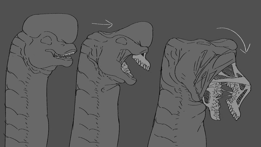 ambiguous_gender bodily_fluids body_horror bone drooling eyeless feral flesh horror_(theme) long_neck open_mouth retractable_teeth saliva scales simple_background skull solo teeth crabdominalpain dinosaur monster prehistoric_species reptile sauropod sauropodomorph scalie greyscale hi_res monochrome sequence