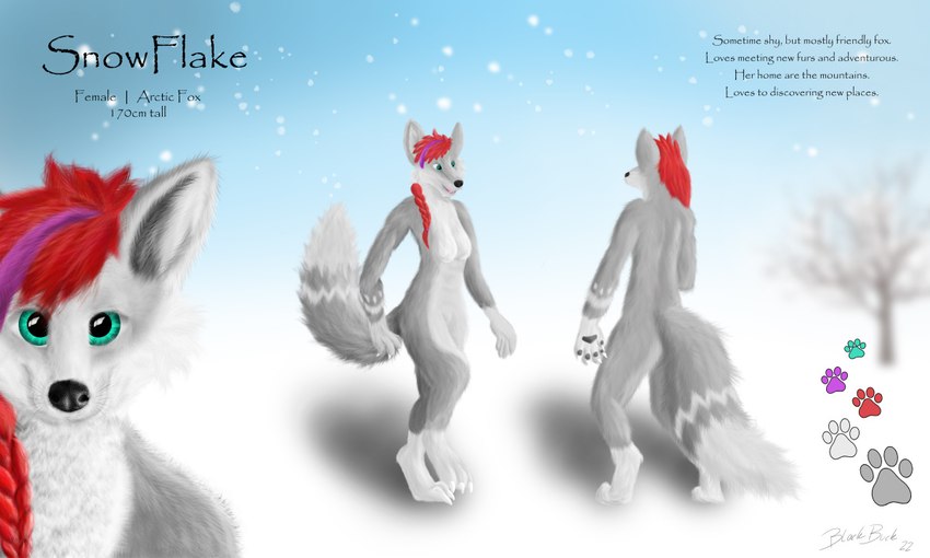 anthro arctic female fluffy hair realistic snow solo text black-buck_(artist) snowflake_(character) canid canine fox mammal 5:3 english_text model_sheet