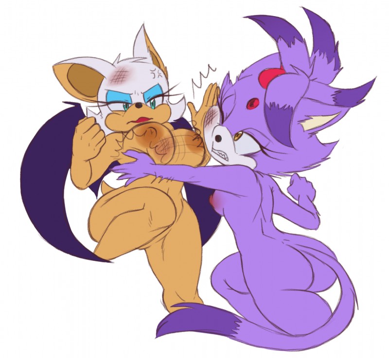 angry anthro big_breasts blue_eyes breast_slap breast_torture breasts bruised catfight duo eyeshadow female fight fur hair makeup nipples nude one_eye_closed purple_body purple_fur purple_hair simple_background slap white_background wings yellow_eyes bluechika sega sonic_the_hedgehog_(series) blaze_the_cat rouge_the_bat bat domestic_cat felid feline felis mammal 2019 hi_res