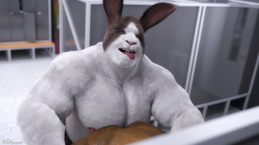 anthro biceps brown_body brown_fur fur male nipples tongue tongue_out white_body white_fur ad-games dirk_(ad-games) lagomorph leporid mammal rabbit 16:9 3d_(artwork) digital_media_(artwork) hi_res widescreen