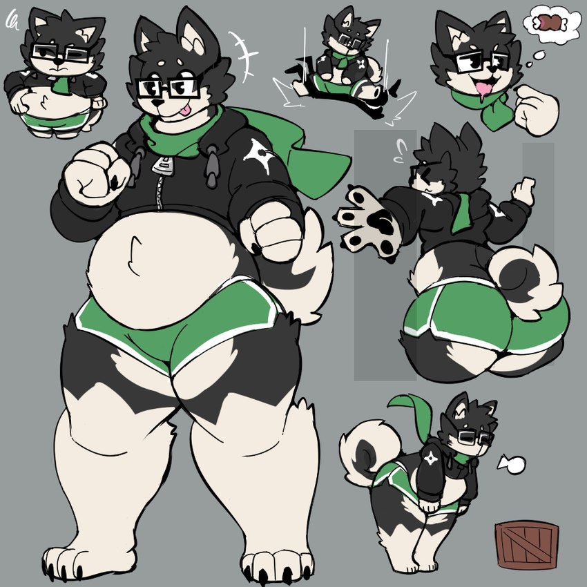 anthro bottomwear clothing crop_hoodie dolphin_shorts eyewear glasses hotpants male multiple_poses overweight pose rectangular_glasses scarf shorts solo standing baronflint gyero_(baronflint) canid canine canis domestic_dog mammal shiba_inu spitz 1:1