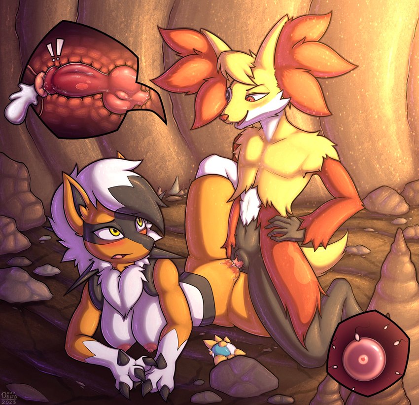 anon fox and boured (pokemon mystery dungeon and etc) created by 007delta