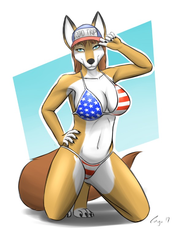 american_flag american_flag_bikini anthro baseball_cap big_breasts bikini biped blue_eyes breasts brown_hair claws cleavage clothed clothing feet female fingerless_(marking) flag flag_bikini flag_clothing flag_print flag_swimwear hair hand_on_hip hat headgear headwear kneeling looking_at_viewer navel print_bikini print_clothing print_swimwear simple_background smile solo star stripes swimwear toe_claws toeless_(marking) two-piece_swimsuit united_states_of_america white_background cayo alice_(cayo) canid canine fox mammal 2017 hi_res