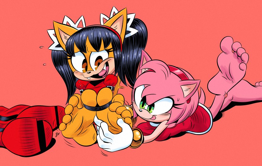 5_toes anthro barefoot black_hair clothed clothing duo feet female foot_focus green_eyes hair laugh micro_calves pink_body restraints soles thin_calves tickling tickling_feet toe_restraints toes toes_tied deepcreases sega sonic_the_fighters sonic_the_hedgehog_(series) amy_rose honey_the_cat domestic_cat eulipotyphlan felid feline felis hedgehog mammal hi_res