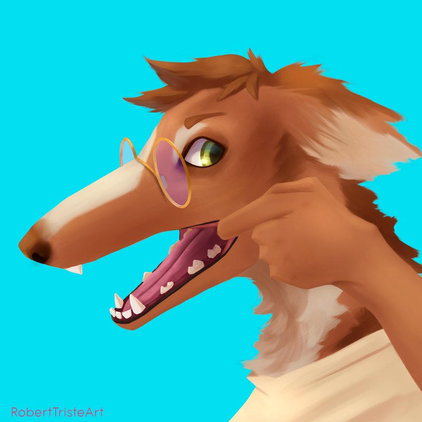 anthro eyewear glasses green_eyes male solo roberttristeart rob_(roberttristeart) borzoi canid canine canis domestic_dog hunting_dog mammal sighthound 1:1 hi_res icon