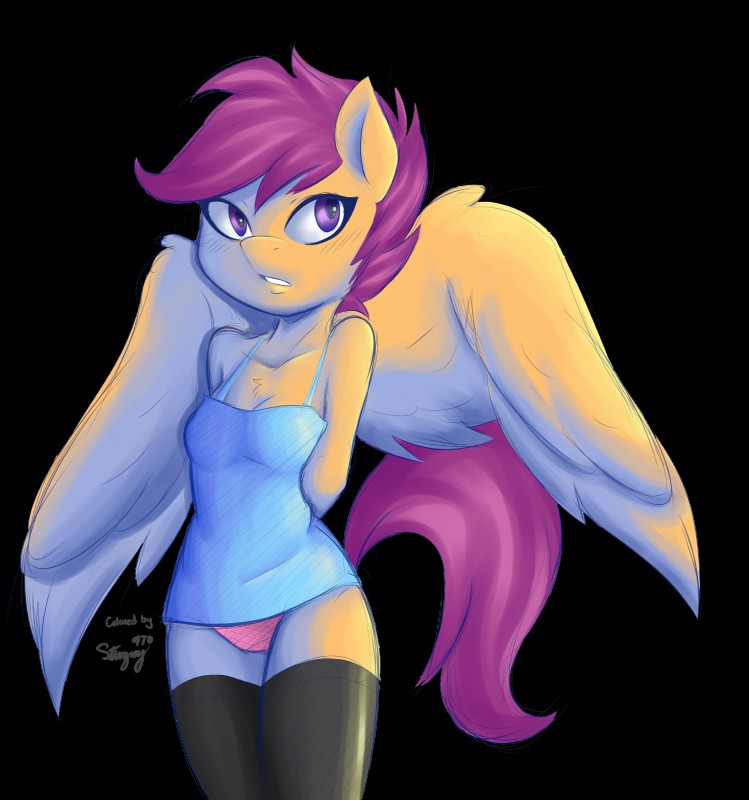 anthro chest_tuft clothing feathered_wings feathers female fur hair legwear orange_body orange_feathers panties purple_eyes purple_hair shirt short_hair simple_background solo tank_top thigh_highs topwear transparent_background tuft underwear wings ambris distantcognition friendship_is_magic hasbro my_little_pony mythology scootaloo_(mlp) equid equine mammal mythological_creature mythological_equine pegasus 2015 absurd_res alpha_channel hi_res