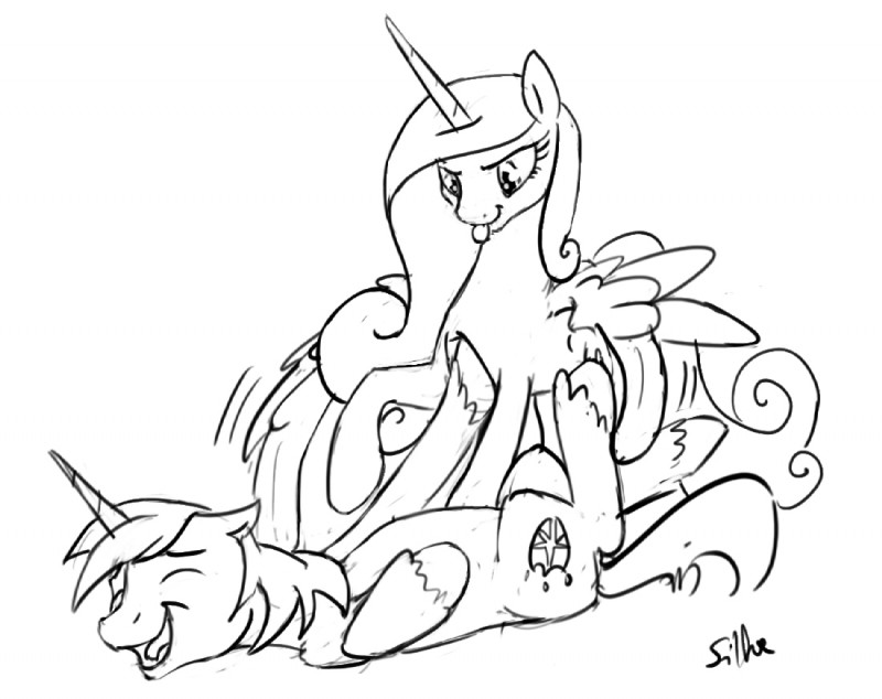 princess cadance and shining armor (friendship is magic and etc) created by silfoe