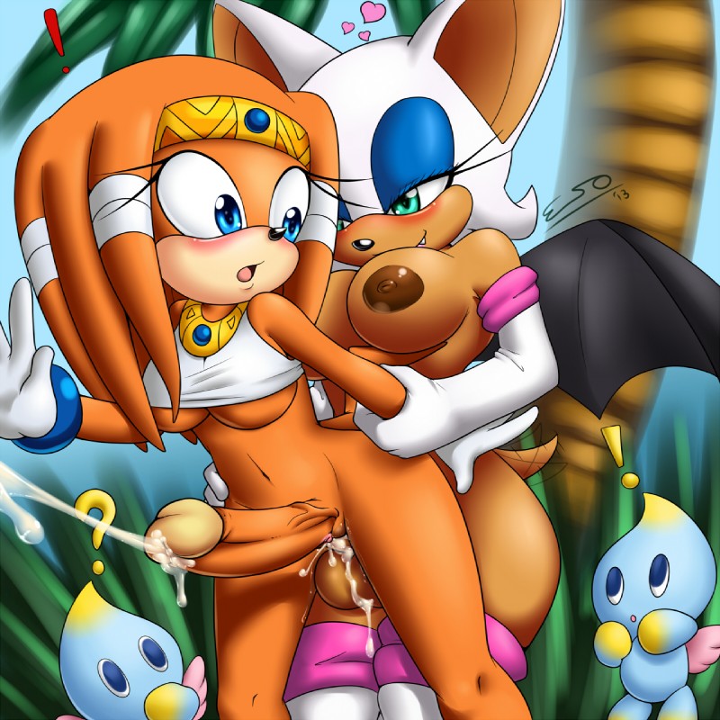 rouge the bat and tikal the echidna (sonic the hedgehog (series) and etc) created by pherociouseso
