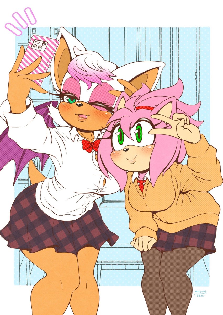 amy rose and rouge the bat (sonic the hedgehog (series) and etc) created by michiyoshi