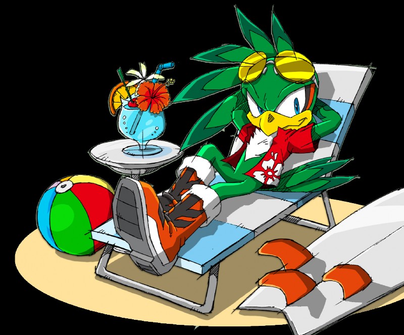 anthro ball beach_ball chair eyewear furniture inflatable lounge_chair male pool_toy simple_background solo sunglasses surfboard transparent_background vehicle watercraft yuji_uekawa sega sonic_riders sonic_the_hedgehog_(series) jet_the_hawk accipitrid accipitriform avian bird alpha_channel official_art