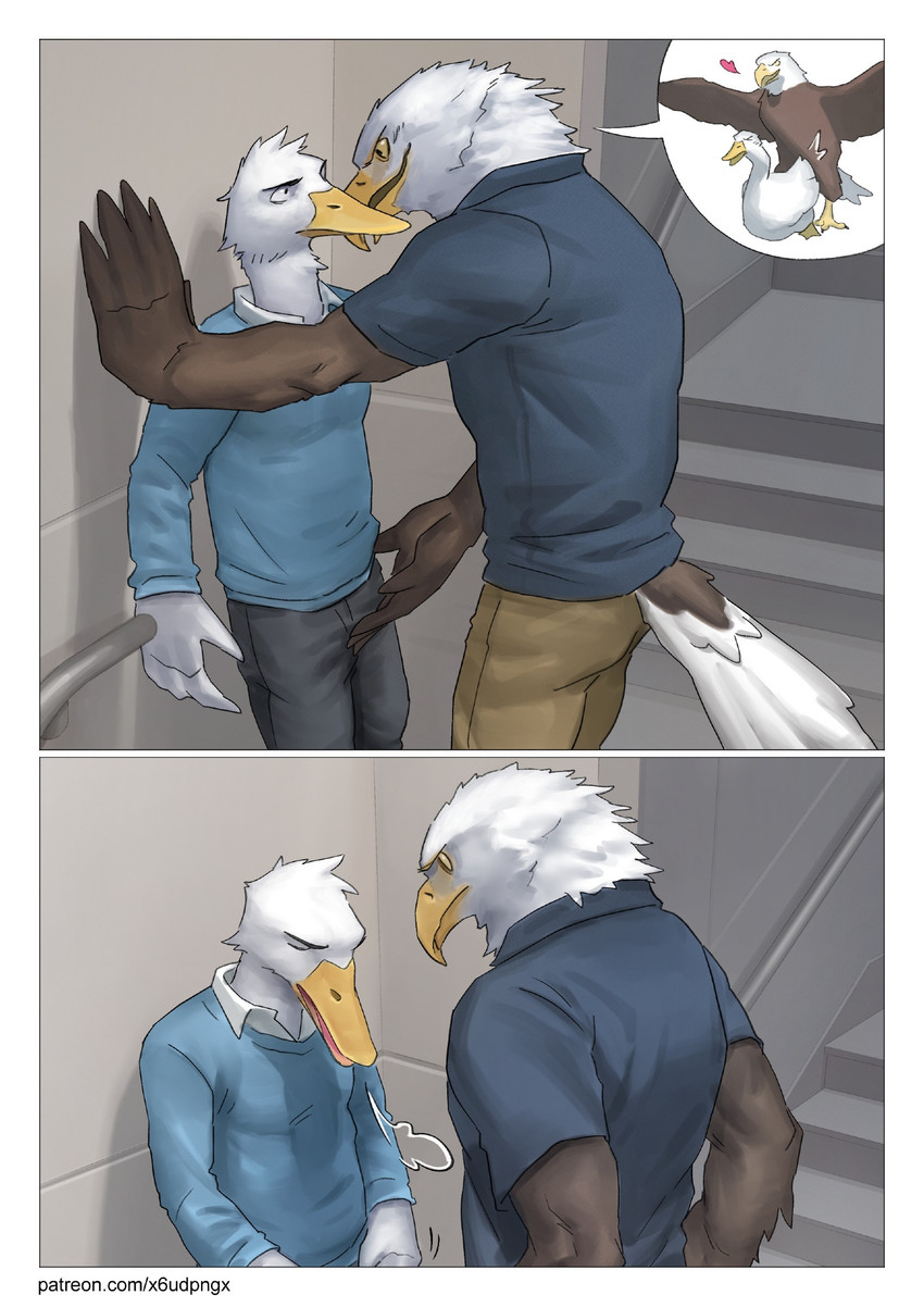 anthro beak brown_body brown_feathers clothed clothing duo feathers feral feral_on_feral fondling heart_symbol inside larger_anthro larger_male male male/male muscular muscular_male open_beak open_mouth sex size_difference smaller_anthro smaller_male stairs tail tail_feathers text unzipping unzipping_pants white_body white_feathers winged_arms wings yellow_eyes pngx accipitrid accipitriform anatid anseriform avian bald_eagle bird duck eagle sea_eagle comic hi_res url
