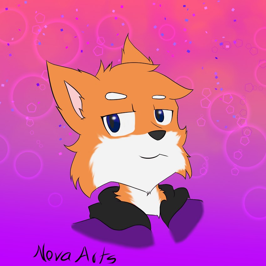 anthro male simple_background smile smirk solo text novaarts noa_(novaarts) canid canine fox mammal 1:1 digital_media_(artwork) english_text hi_res