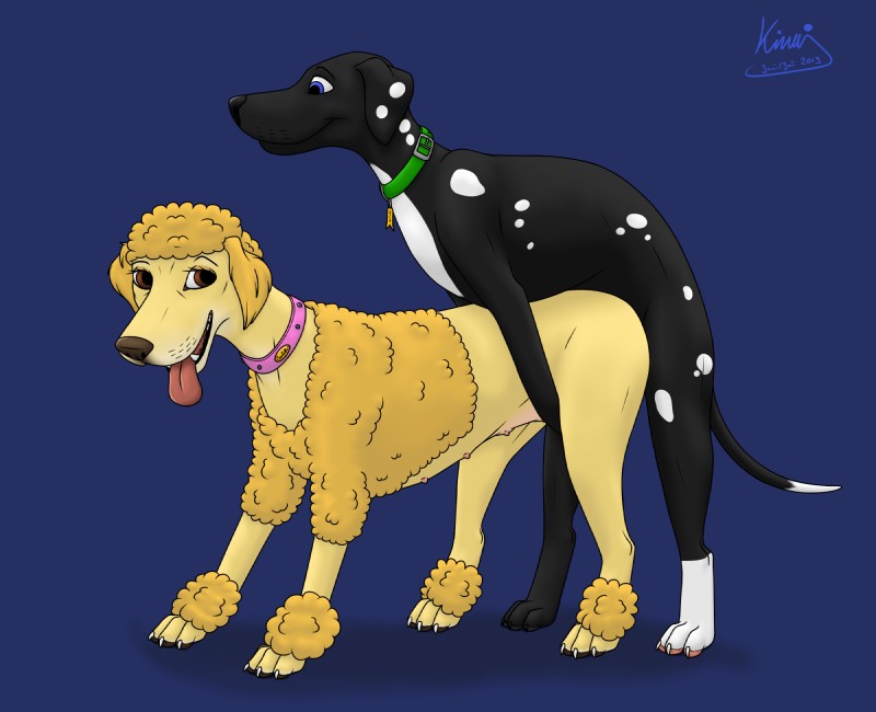 collar duo female feral feral_on_feral feral_penetrated feral_penetrating feral_penetrating_feral genitals male male/female nipples penetration sex teats kinaj ben_(kinaj) isabella_(kinaj) bird_dog canid canine canis dalmatian domestic_dog hunting_dog labrador mammal mixed_breed poodle retriever 2019 hi_res