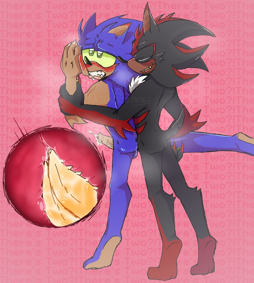 shadow the hedgehog and sonic the hedgehog (sonic the hedgehog (series) and etc) created by katamarizibby