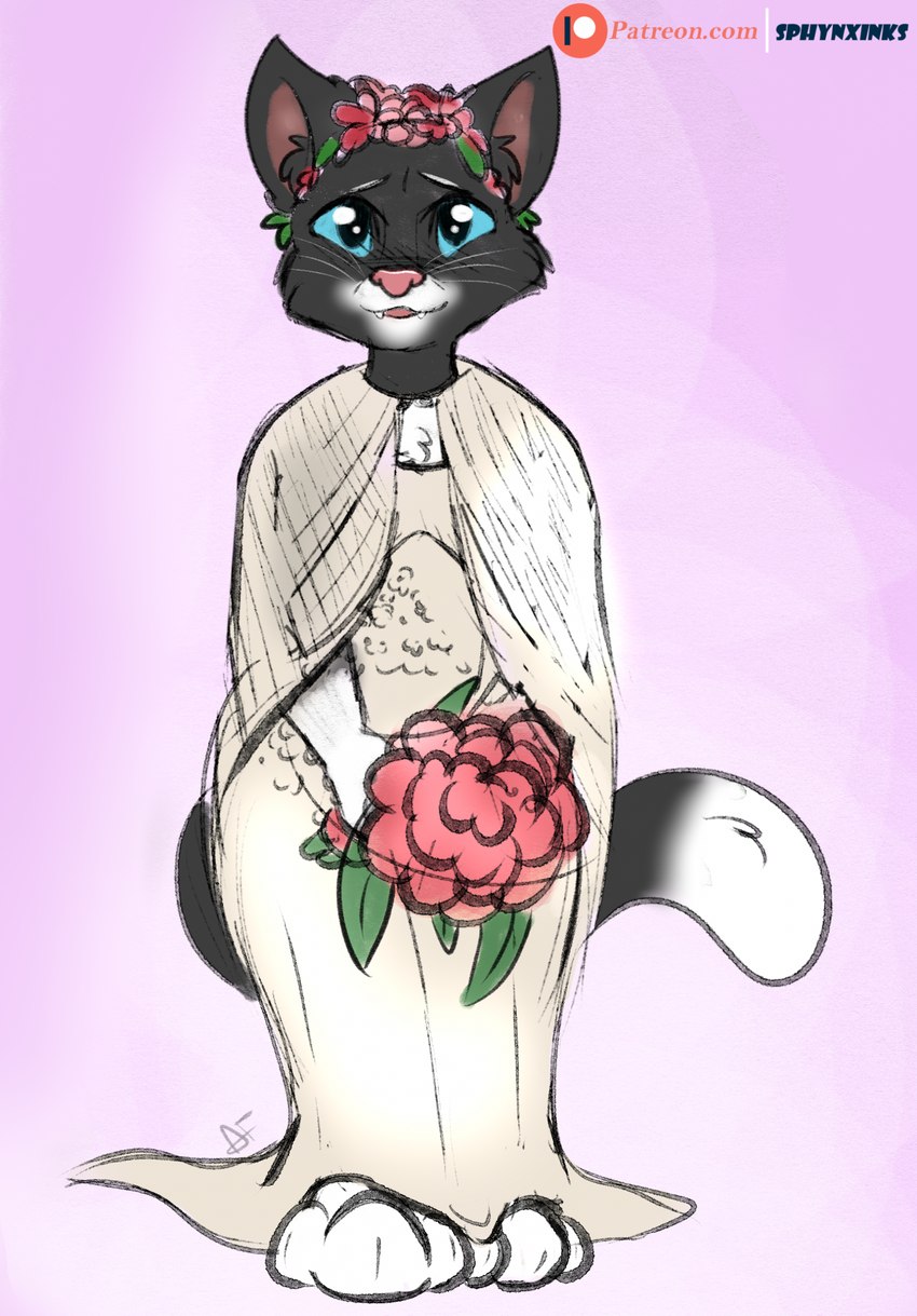 anthro blue_eyes bouquet clothing dress female flower flower_bouquet happy holding_object looking_at_viewer pink_background plant simple_background smile solo standing text wedding_dress theinspiredsphynx dreamworks puss_in_boots_(franchise) kitty_softpaws domestic_cat felid feline felis mammal tuxedo_cat hi_res signature url