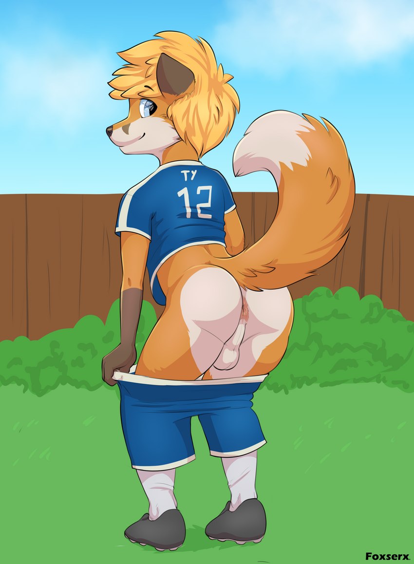 anthro anus balls bent_over black_clothing black_footwear black_nose black_shoes blonde_hair blue_bottomwear blue_clothing blue_eyes blue_shirt blue_shorts blue_t-shirt blue_topwear bottomwear bottomwear_down brown_body brown_ears brown_fur butt clothed clothing cloud fence footwear fur genitals grass hair holding_bottomwear holding_clothing holding_object long_socks looking_back male mooning multicolored_body multicolored_bottomwear multicolored_clothing multicolored_ears multicolored_fur multicolored_shirt multicolored_t-shirt multicolored_topwear no_underwear orange_body orange_ears orange_fur orange_tail outside partially_clothed plant presenting presenting_hindquarters pupils shirt shoes shorts shorts_down shrub sky smile soccer soccer_uniform socks solo sport sportswear t-shirt tail topwear two_tone_bottomwear two_tone_clothing two_tone_ears two_tone_shirt two_tone_t-shirt two_tone_tail two_tone_topwear uniform white_body white_bottomwear white_clothing white_footwear white_fur white_shirt white_shorts white_socks white_t-shirt white_tail white_topwear wood wood_fence young young_anthro foxserx tycloud canid canine fox mammal 2023 absurd_res digital_media_(artwork) hi_res